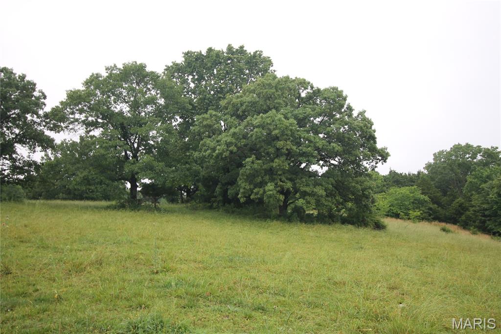 Photo 33 - Farm for sale – 16292  Maries Road 303   Vienna, MO