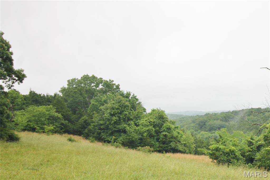Photo 32 - Farm for sale – 16292  Maries Road 303   Vienna, MO