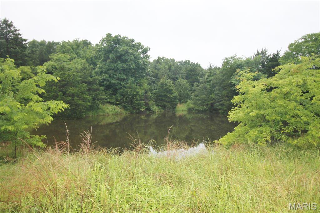 Photo 40 - Farm for sale – 16292  Maries Road 303   Vienna, MO