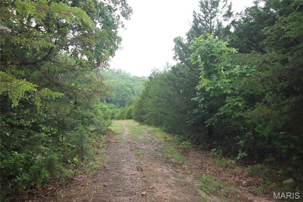 Photo 13 - Farm for sale – 16286  Maries Rod 303   Vienna, MO