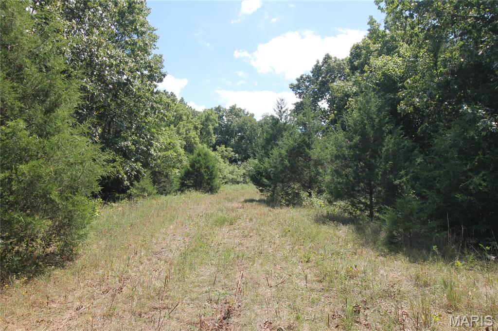 Photo 24 - Farm for sale – 16286  Maries Rod 303   Vienna, MO