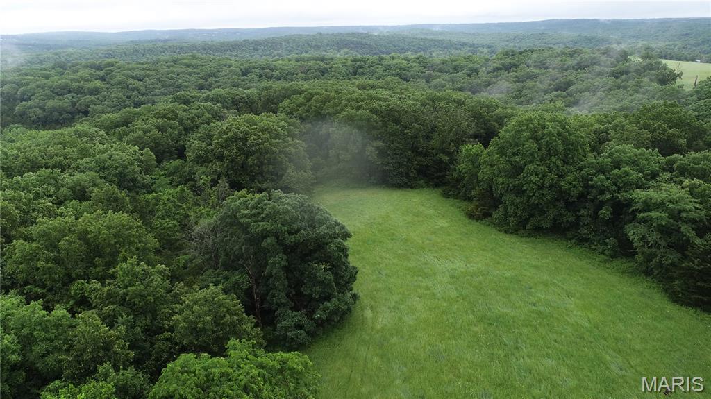 Photo 6 - Farm for sale – 16286  Maries Rod 303   Vienna, MO