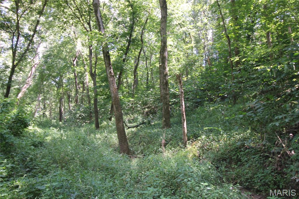 Photo 30 - Farm for sale – 16286  Maries Rod 303   Vienna, MO