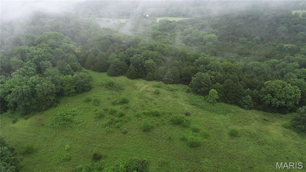 Photo 11 - Farm for sale – 16286  Maries Rod 303   Vienna, MO