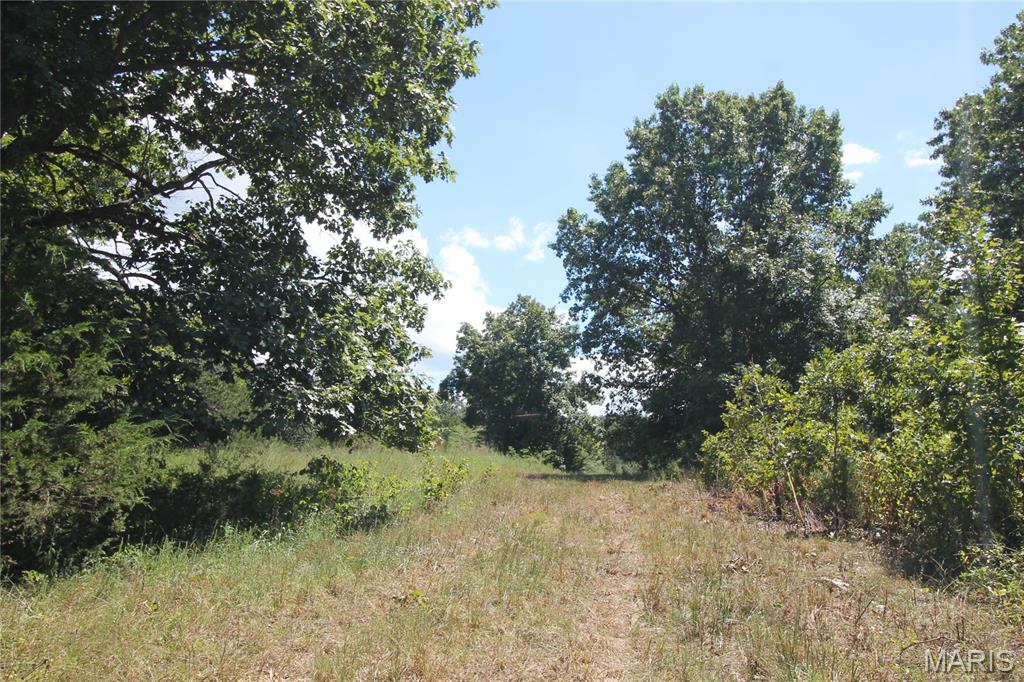 Photo 27 - Farm for sale – 16286  Maries Rod 303   Vienna, MO