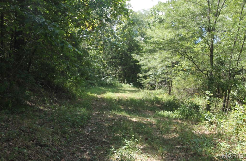 Photo 23 - Farm for sale – 16286  Maries Rod 303   Vienna, MO