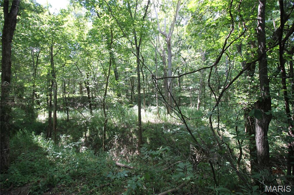 Photo 26 - Farm for sale – 16286  Maries Rod 303   Vienna, MO