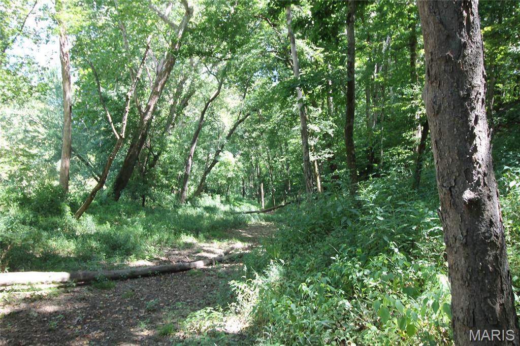 Photo 28 - Farm for sale – 16286  Maries Rod 303   Vienna, MO