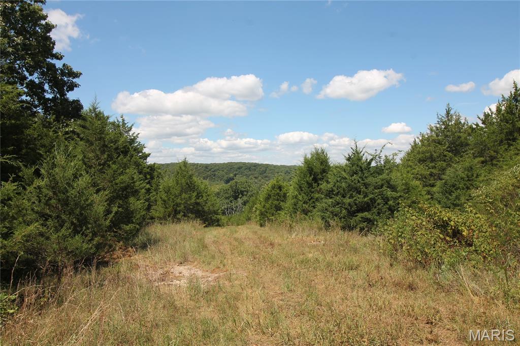 Photo 25 - Farm for sale – 16286  Maries Rod 303   Vienna, MO