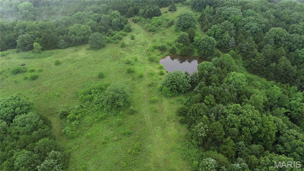 Photo 9 - Farm for sale – 16286  Maries Rod 303   Vienna, MO