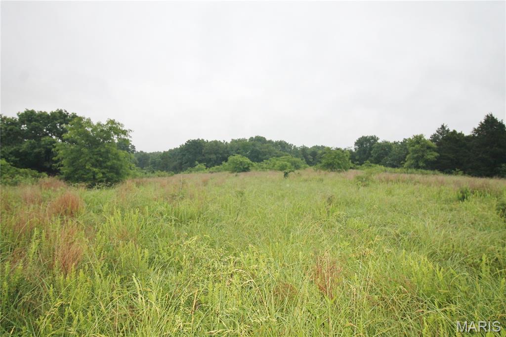 Photo 18 - Farm for sale – 16286  Maries Rod 303   Vienna, MO