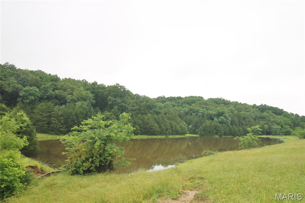 Photo 13 - Farm for sale – 16288  Maries Road 303   Vienna, MO