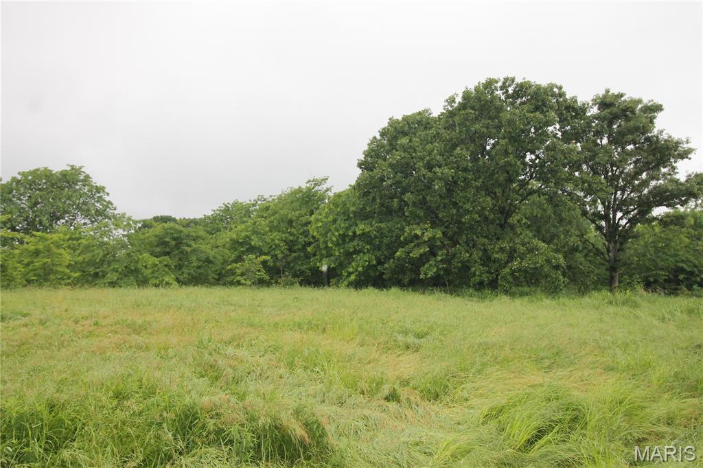 Photo 12 - Farm for sale – 16288  Maries Road 303   Vienna, MO