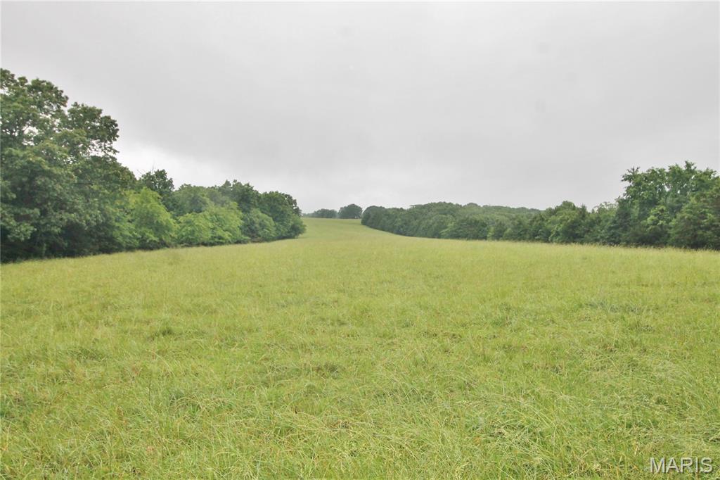 Photo 14 - Farm for sale – 16288  Maries Road 303   Vienna, MO