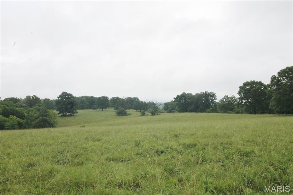 Photo 12 - Farm for sale – 16290  Maries Road 303   Vienna, MO