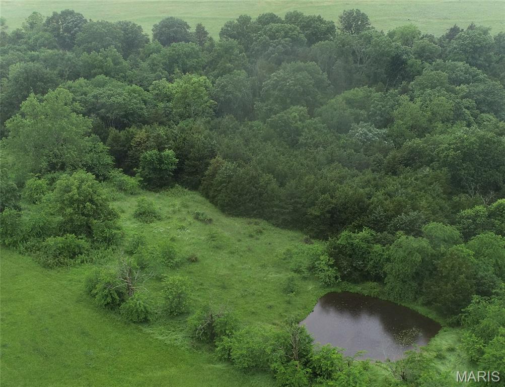 Photo 5 - Farm for sale – 16290  Maries Road 303   Vienna, MO