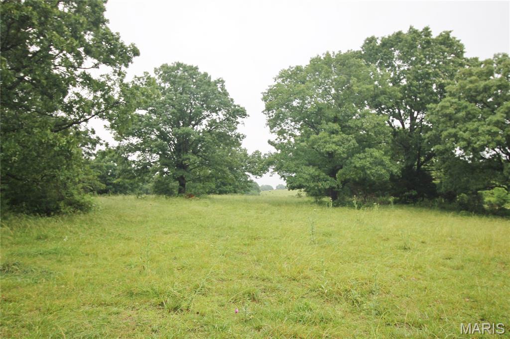 Photo 14 - Farm for sale – 16290  Maries Road 303   Vienna, MO