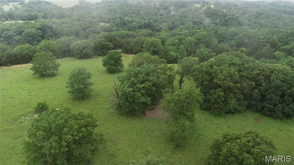 Photo 7 - Farm for sale – 16290  Maries Road 303   Vienna, MO