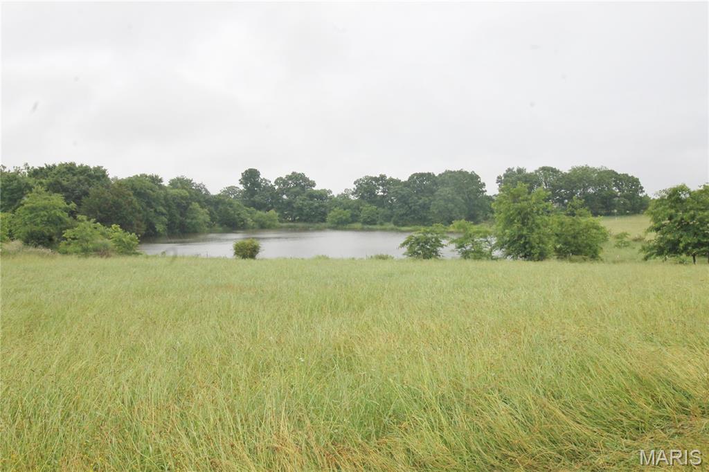 Photo 10 - Farm for sale – 16290  Maries Road 303   Vienna, MO
