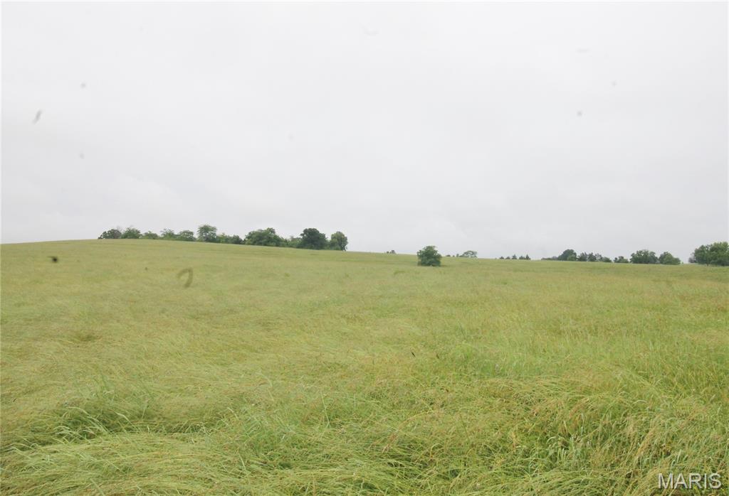 Photo 11 - Farm for sale – 16290  Maries Road 303   Vienna, MO