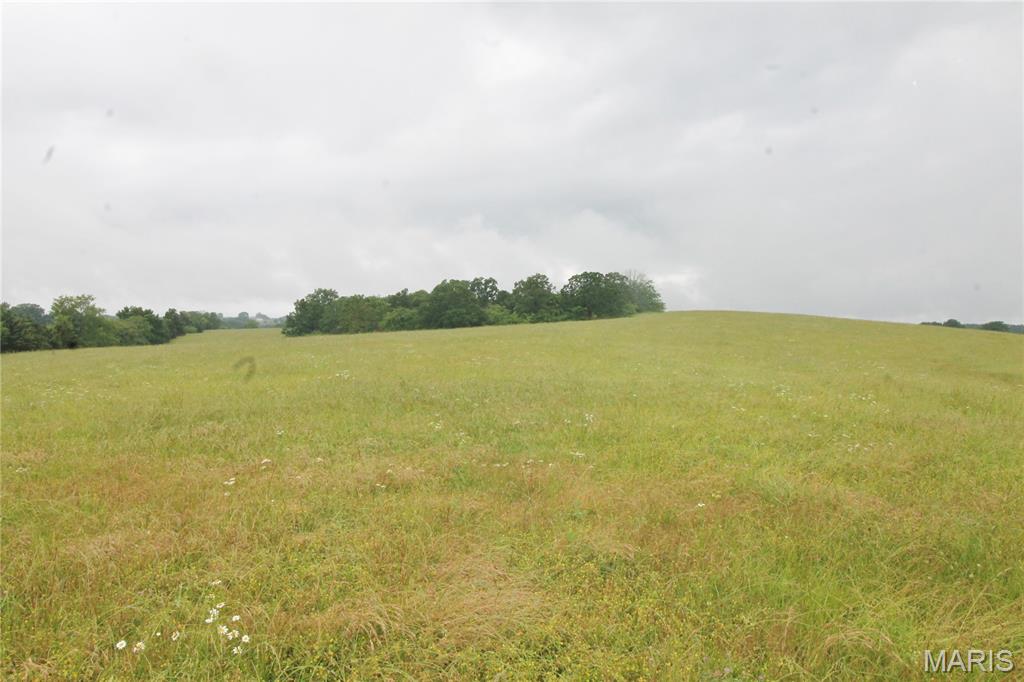 Photo 9 - Farm for sale – 16290  Maries Road 303   Vienna, MO
