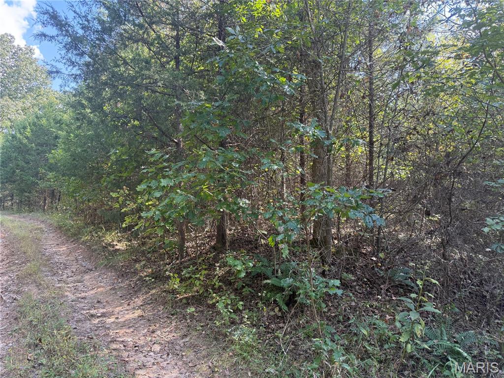 Photo 7 - Land for sale – 19450  Private Drive 6536   Beulah, MO