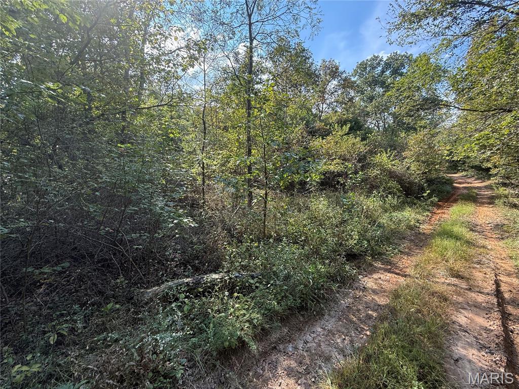 Photo 10 - Land for sale – 19450  Private Drive 6536   Beulah, MO