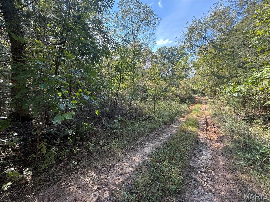 Land for sale – 19450  Private Drive 6536   Beulah, MO