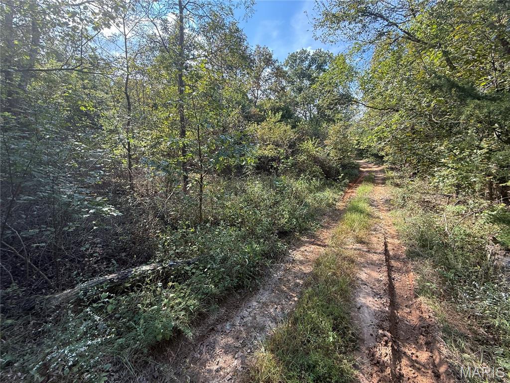 Photo 11 - Land for sale – 19450  Private Drive 6536   Beulah, MO