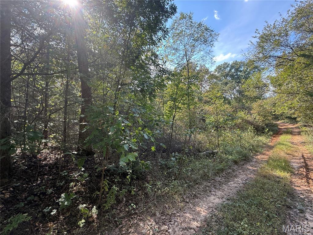 Photo 2 - Land for sale – 19450  Private Drive 6536   Beulah, MO