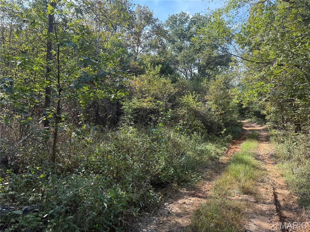 Photo 6 - Land for sale – 19450  Private Drive 6536   Beulah, MO
