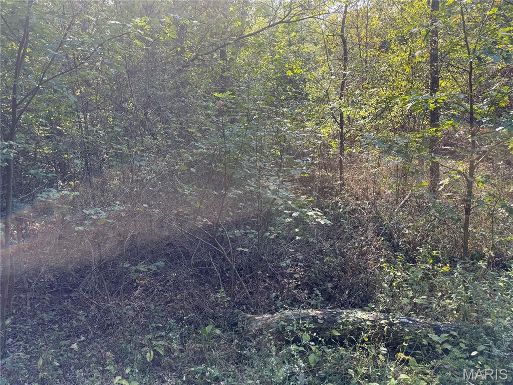 Photo 8 - Land for sale – 19450  Private Drive 6536   Beulah, MO