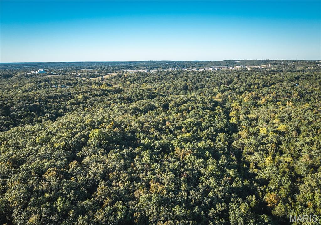 Photo 7 - Land for sale – 14.25 acres  Cedar Grove Road  Rolla, MO