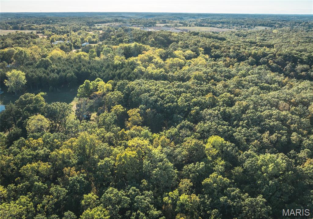 Photo 8 - Land for sale – 14.25 acres  Cedar Grove Road  Rolla, MO