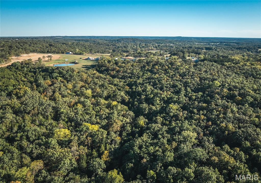 Photo 6 - Land for sale – 14.25 acres  Cedar Grove Road  Rolla, MO