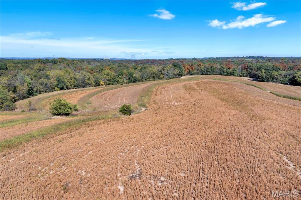 Photo 17 - Land for sale – 0  Old Highway 100   Villa Ridge, MO