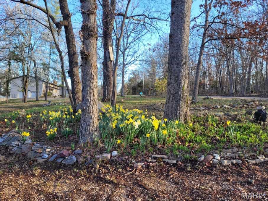 Photo 52 - Residential for sale – 10235  County Road 3070   Rolla, MO