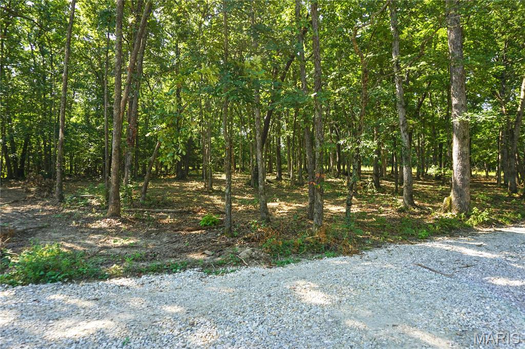 Photo 9 - Residential for sale – 17101  CR 8190   Newburg, MO