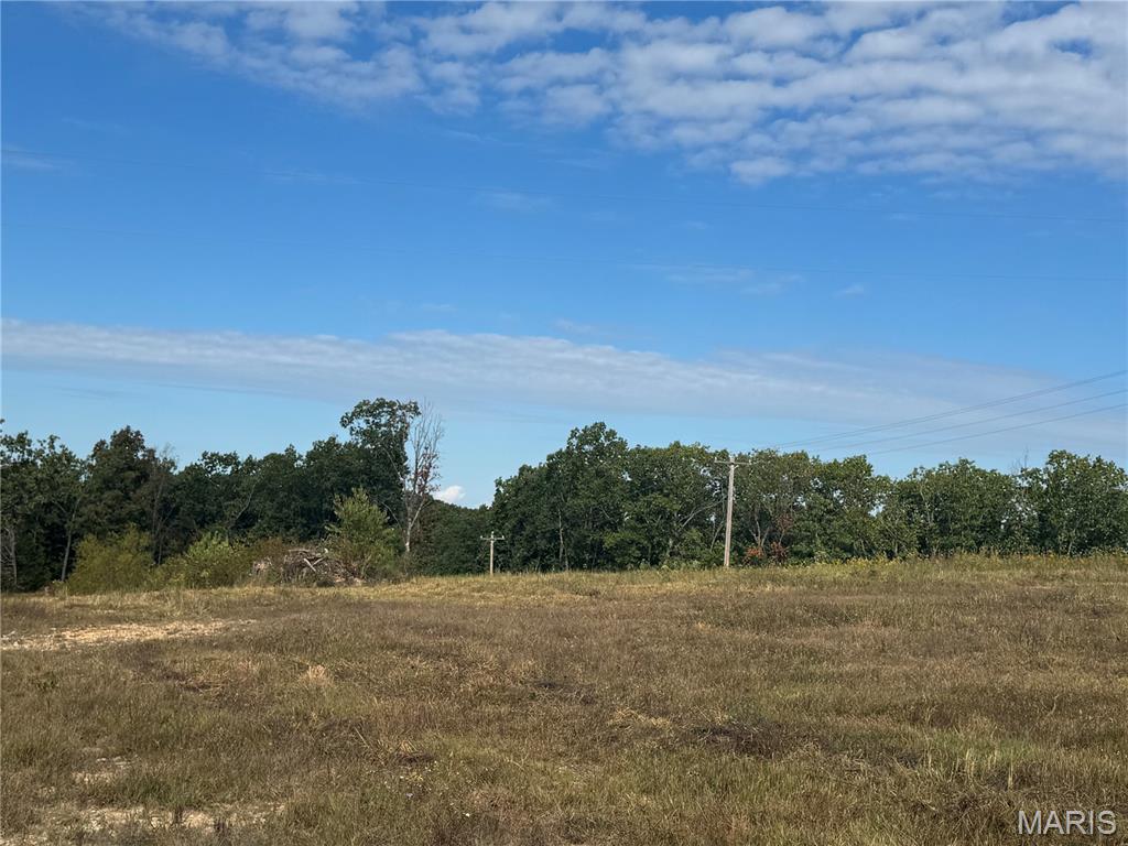 Photo 2 - Land for sale – 18626  28   Dixon, MO