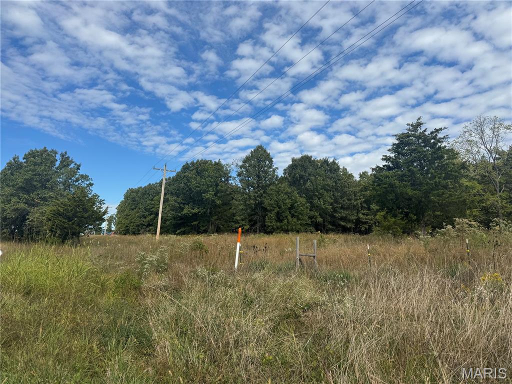 Photo 10 - Land for sale – 18626  28   Dixon, MO