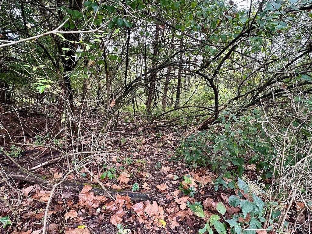 Photo 4 - Land for sale – TBD  Shady Lane  Rolla, MO