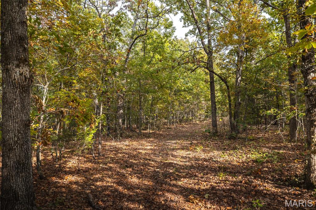 Photo 24 - Farm for sale – 23294  State Route T   Newburg, MO
