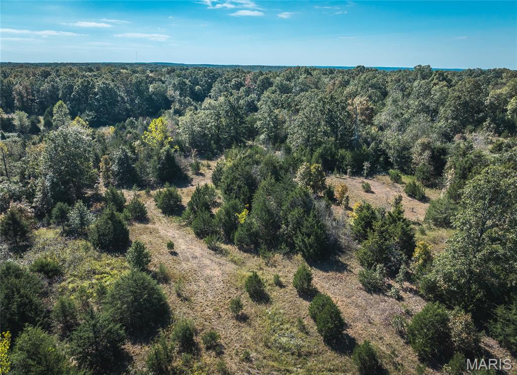 Photo 22 - Land for sale – 000  Highway J   Newburg, MO