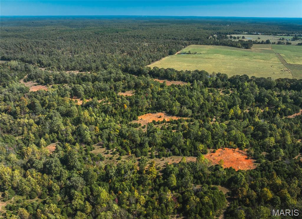 Photo 16 - Land for sale – 000  Highway J   Newburg, MO