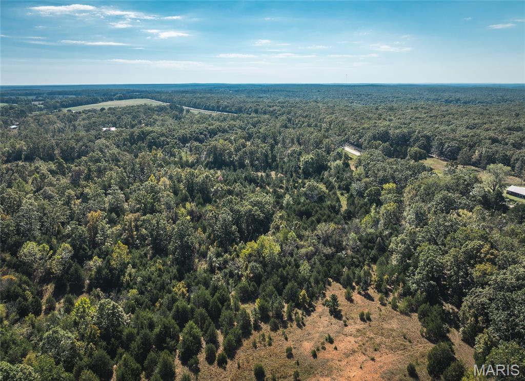 Photo 11 - Land for sale – 000  Highway J   Newburg, MO