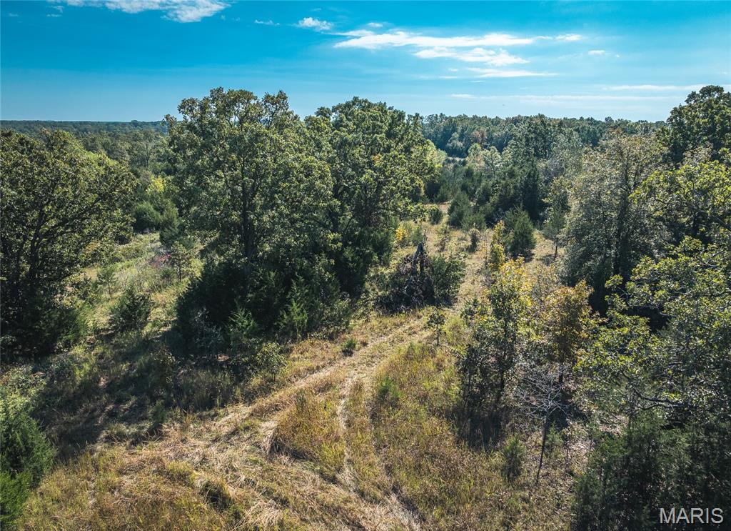 Photo 26 - Land for sale – 000  Highway J   Newburg, MO