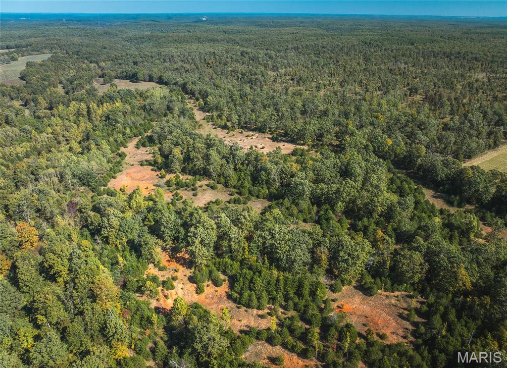 Photo 17 - Land for sale – 000  Highway J   Newburg, MO