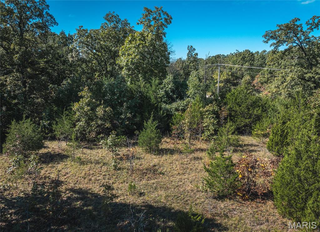 Photo 25 - Land for sale – 000  Highway J   Newburg, MO