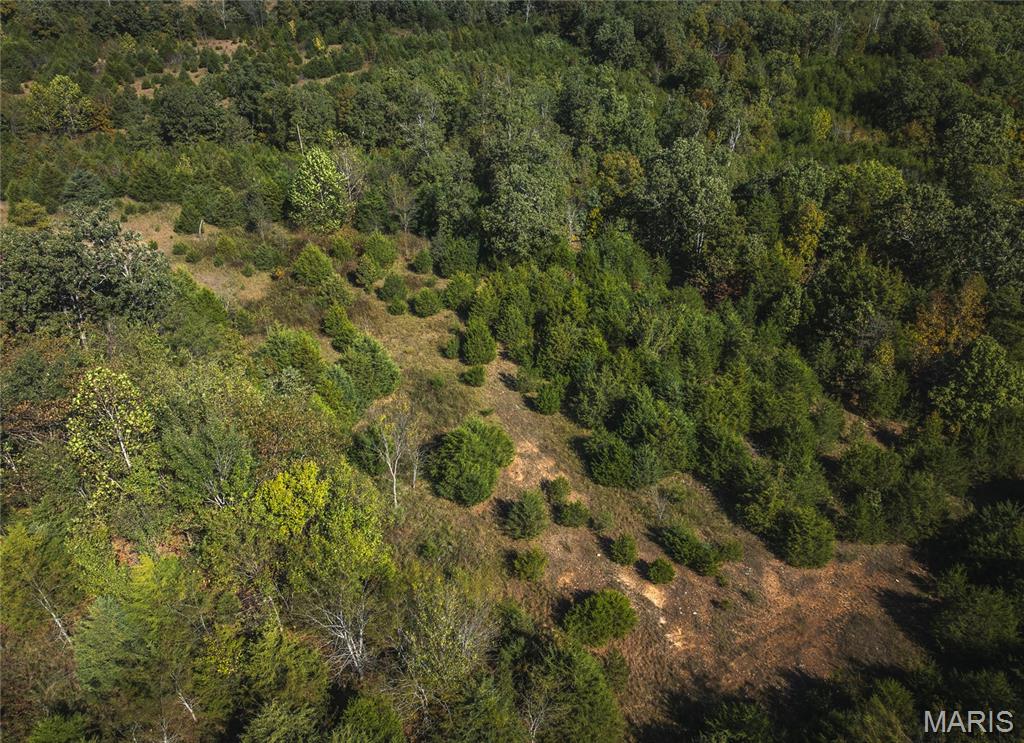 Photo 20 - Land for sale – 000  Highway J   Newburg, MO