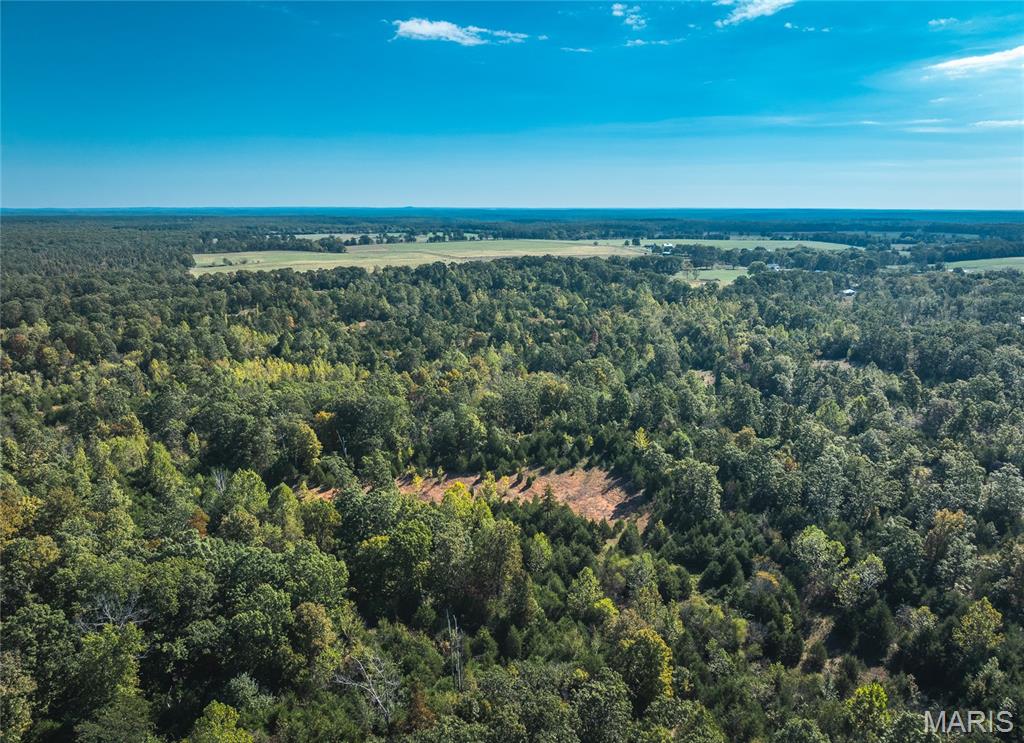 Photo 12 - Land for sale – 000  Highway J   Newburg, MO